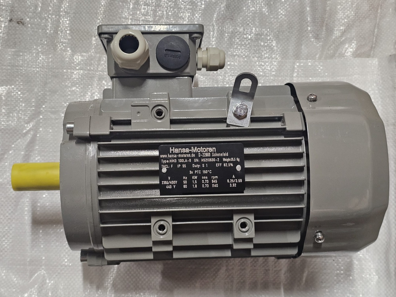 E-Motor Hansa  M2AA 100L 6